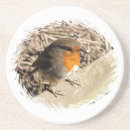 Suche nach rotkehlchen untersetzer Jede person