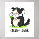 Suche nach für collies poster Border collie