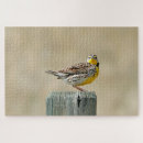 Suche nach singvögel puzzle Jede person