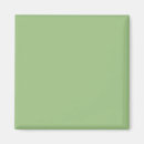 Suche nach color magnete Solide