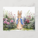 Suche nach peter rabbit postkarten Beatrix töpfer