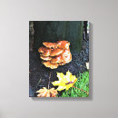 Suche nach pilz leinwandbilder Herbst