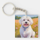 Suche nach malteser schlüsselanhänger Weiß