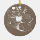 Suche nach vektoren ornamente Für sie