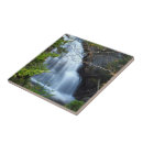 Suche nach landschaft foto fliesen Wald