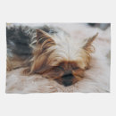 Suche nach yorkshire terrier geschirr tücher Niedlich
