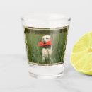 Suche nach gelbe camouflage wohnen zuhause Jagd