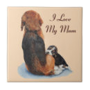 Suche nach welpen fliesen Für sie