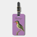 Suche nach geflügel gepäckanhänger Kolibris