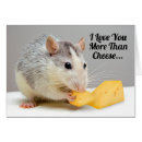 Suche nach weiße ratte karten Jede person