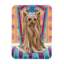 Suche nach yorkie hund magnete Welpen