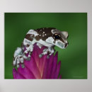 Suche nach wildes freies poster Natur