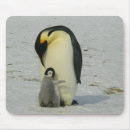 Suche nach baby pinguin mousepads Vögel
