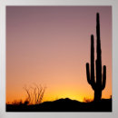 Suche nach saguaro cactus poster Arizona