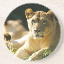 Suche nach afrikanischer löwe untersetzer Safari