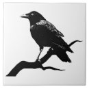 Suche nach crow fliesen Raven