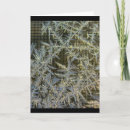 Suche nach haben sie einen schönen tag karten Für alle