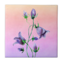 Suche nach bluebell fliesen Für alle