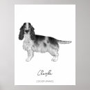 Suche nach cocker spaniel hund poster Pet