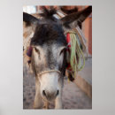 Suche nach san miguel poster Guanajuato