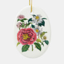 Suche nach kamelie ornamente Blume