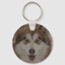 Suche nach malamute schlüsselanhänger Schlitten