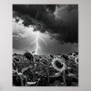 Suche nach blitz donner poster Dramatisch