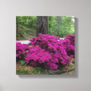 Suche nach azalee leinwandbilder Frühling