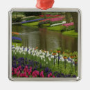 Suche nach hyazinthen ornamente Bach