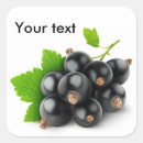 Suche nach schwarze johannisbeere aufkleber Beeren
