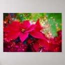 Suche nach weihnachtsstern poster Festlich