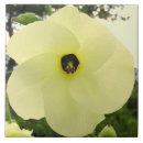 Suche nach große blumen fliesen Fotografie