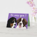 Suche nach bern karten Berner hund