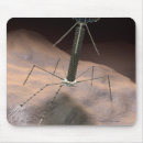 Suche nach bakterien mousepads Virus