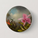 Suche nach kolibri buttons Blume