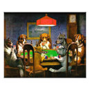 Suche nach poke kunst Tiere