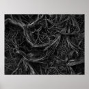 Suche nach root poster Natur