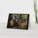 Suche nach absinthe postkarten Lustig