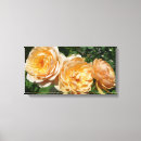 Suche nach trio leinwandbilder Rose