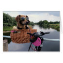 Suche nach dackelhund postkarten Spaß