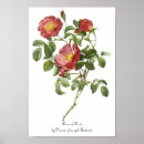 Suche nach vintage botanik poster Natur