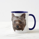 Suche nach yorki tassen Hund