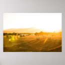 Suche nach schafe poster Feld