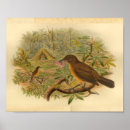 Suche nach bohrer poster Vintag