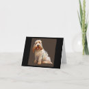 Suche nach portrait karten Kaninchen
