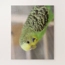 Suche nach parkett puzzle Vögel