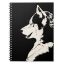Suche nach heiseren Malamute