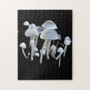 Suche nach pilz puzzle Jede person