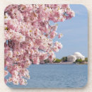Suche nach washington dc untersetzer Consumerproduct