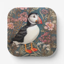 Suche nach puffin pappteller Atlantischer puffsack
